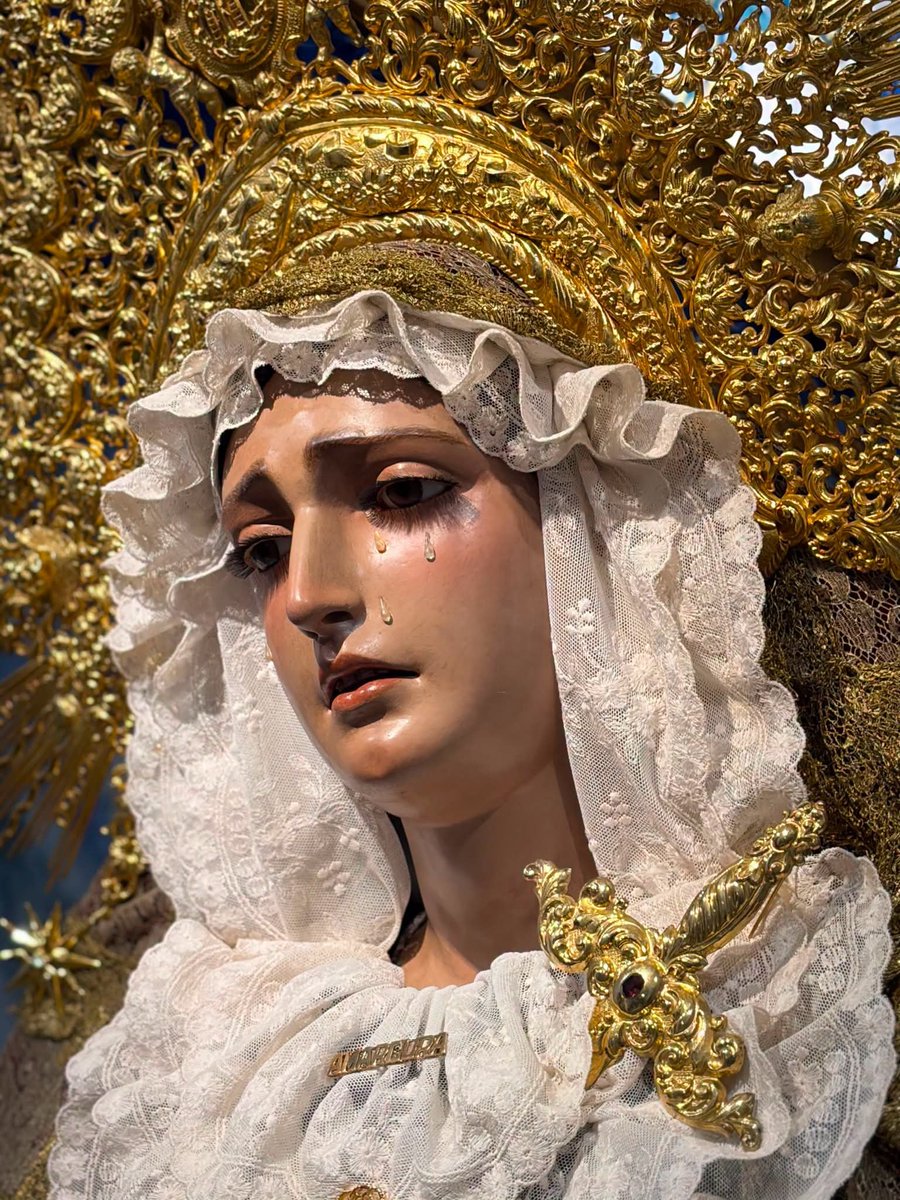 HdadAmarguraDH's tweet photo. Reina del Cielo y Madre nuestra, a Ti acudimos hoy con la confianza de los hijos.

nemos a tus plantas nuestras súplicas, nuestros anhelos y a todos los que forman parte de nuestra Hermandad.

Bajo tu amparo, siempre.

Santa María Reina, ruega por nosotros. 🙏🏼

📸: N.H. Marta R. https://t.co/BdT99ambzQ