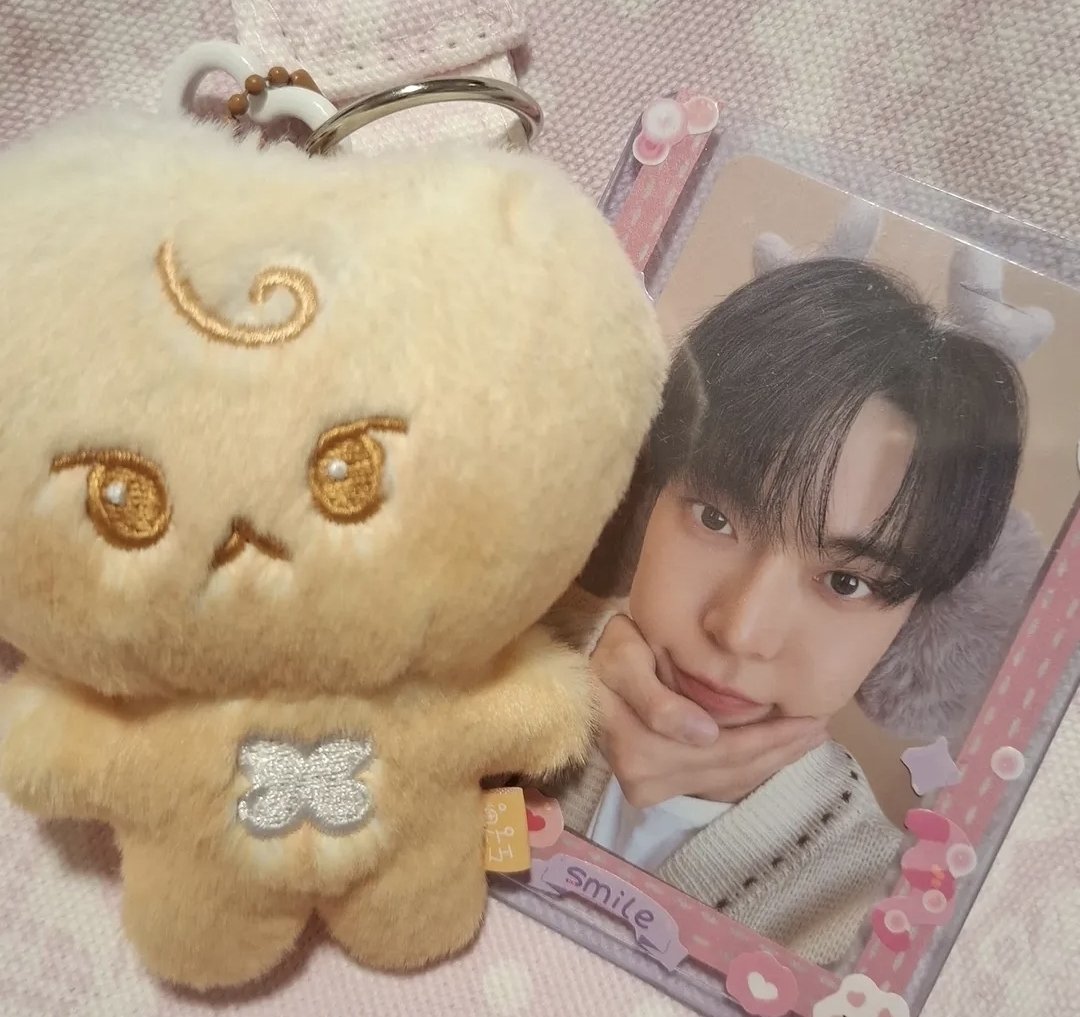 22smileyface's tweet photo. 😍🥺 this is my new possession 🥰 itstmy favorite doyoungie plush😉 I am ready to travel the world https://t.co/5xBgHX27TV