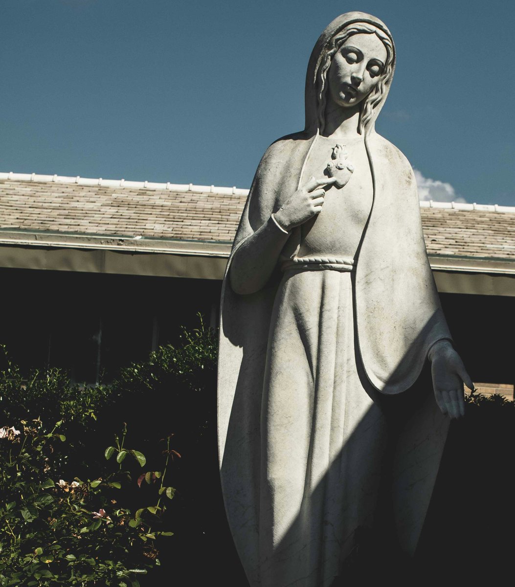 PrayTheRosary's tweet photo. Today is the feast of the Immaculate Heart of Mary https://t.co/Di0KJ5tILC