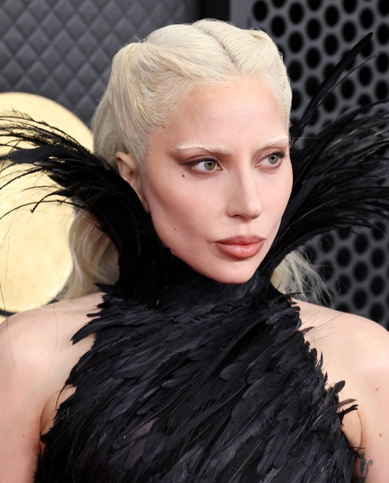gagadaily's tweet photo. One of the goals behind Lady Gaga and Michael Polansky’s new biotech startup could have a huge impact beyond skincare: reducing the need for animal testing.

Instead of relying as heavily on animals during the research process, Outer Bio keeps donated human skin alive in a lab, allowing scientists to test thousands of potential ingredients directly on real human tissue and identify the most promising ones faster.

Gaga’s own makeup brand, Haus Labs, has always been vegan and cruelty-free. However, many beauty and pharmaceutical companies still rely on animal testing at some stage of developing new ingredients where regulations or research requirements call for it. If Outer Bio’s technology succeeds, it could help those companies reduce their reliance on animal testing.
