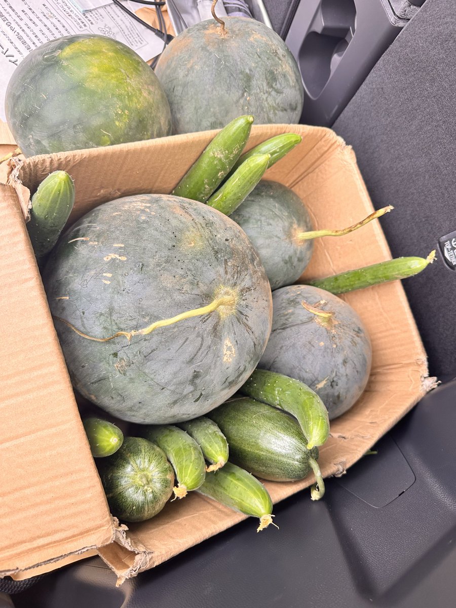 mashamens's tweet photo. 沢山
　頂きまさした🍉 https://t.co/oJjAfgZxpI