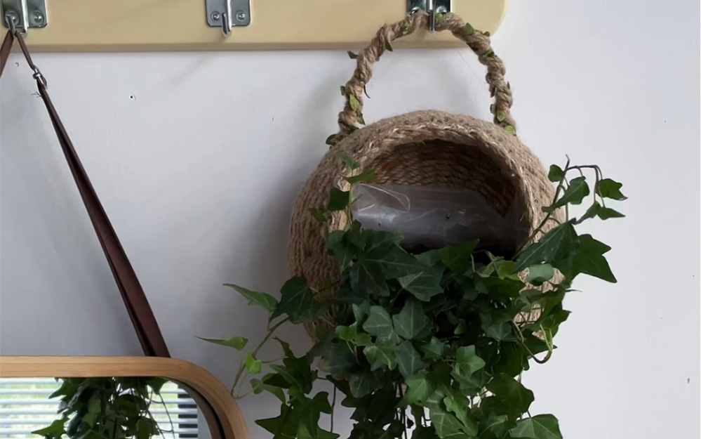a86436809's tweet photo. Just finished weaving this tiny macramé plant hanger for my desk! It’s the perfect tiny touch to spruce up my workspace ， https://t.co/nloJf0kwK0