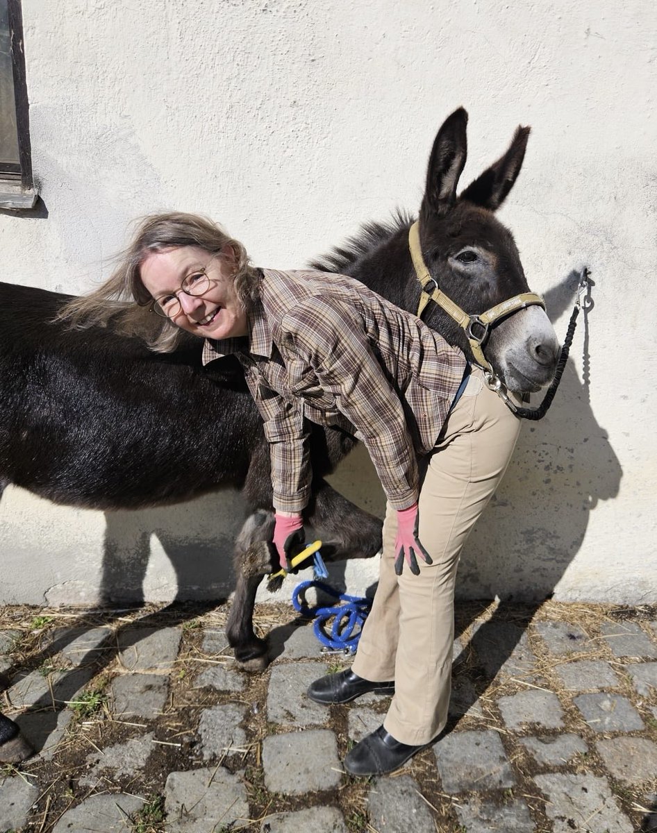 vmuecke_k's tweet photo. Auf meinem Account gibt es am Wochenende Geschichten von Hühnern und Eseln. 

An Wochentagen berichte ich aus der Praxis und kommentiere die aktuelle Gesundheitspolitik. https://t.co/CAeNbfIRUO