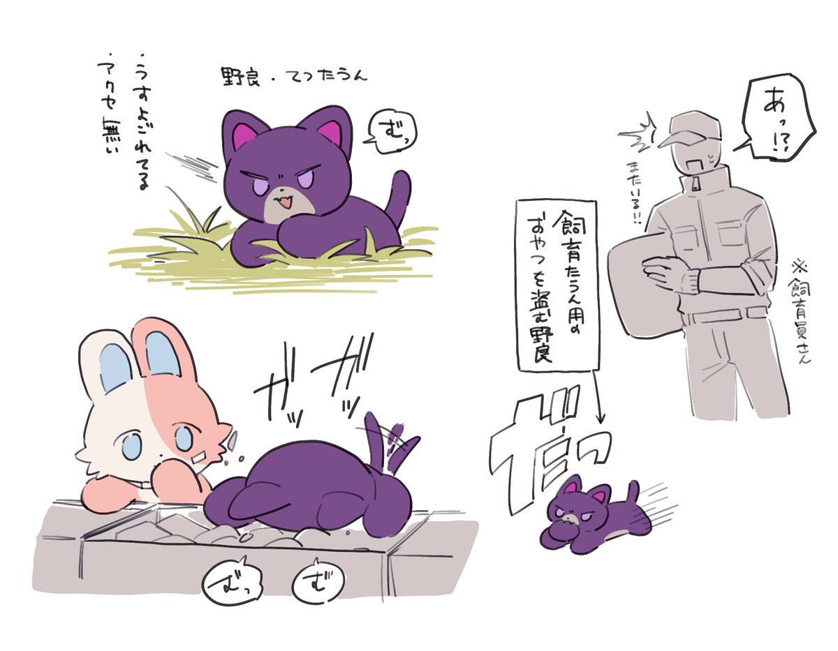 str4472's tweet photo. ※捏造
野良🤝たうん https://t.co/DkP4PW5YvK