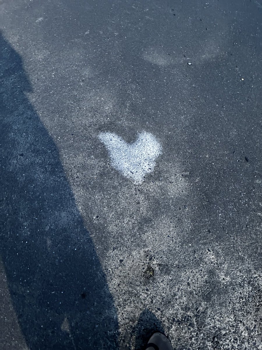 zazannta's tweet photo. 散歩してたら道路に燃え尽きたハートあってなんか怖かった https://t.co/mVXqW7uLvQ