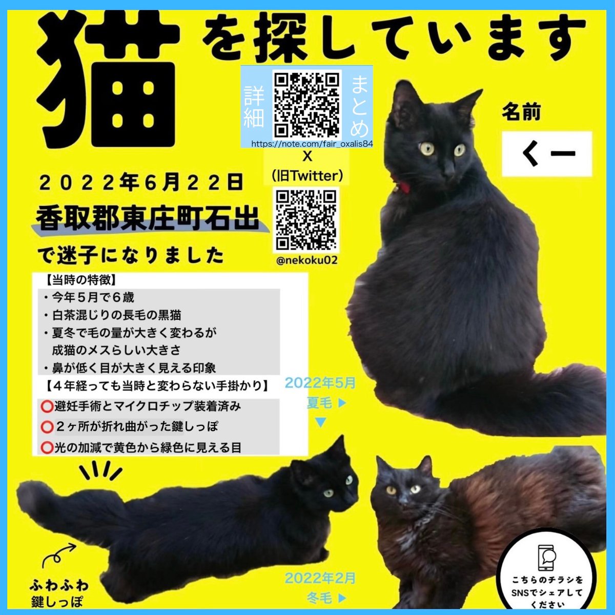 nekoku02's tweet photo. 【千葉県香取郡東庄町 特徴的な鍵しっぽの長毛黒猫くー♀を探してます】

💬欄に詳細：今日で4年2ヶ月経ちました。マイクロチップを装着させています。現在も地域の方たちからお声がけいただいています。皆様いつもありがとうございます🙏

#東庄町 石出 '22年6/22 迷子 下総橘駅 香取市 旭 銚子 神栖 https://t.co/4tjq5RSskh