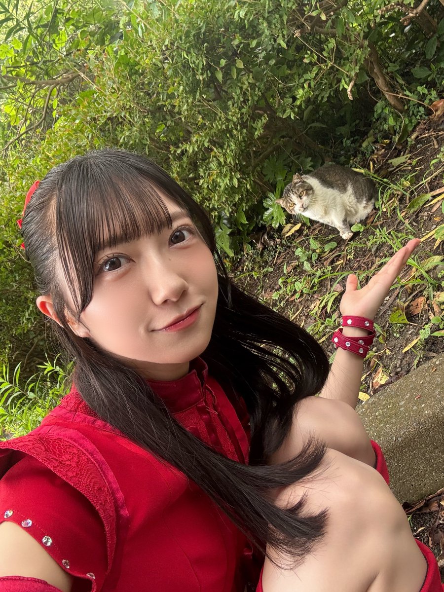 RWR_akina's tweet photo. ねことでこ🐈‍⬛🌟 https://t.co/m53fnXQDr3