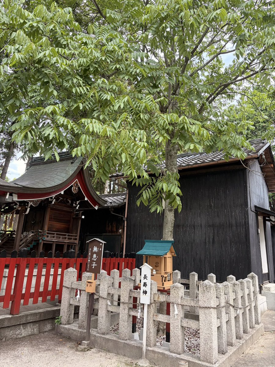 happapa42's tweet photo. 滋賀県大津市の伊豆神社⛩️
境内に幸福を呼ぶ石があり、撫でると縁結びのご利益があるそう🫶
御朱印をかなり丁寧に書いていただきました🙏
#御朱印
#伊豆神社 https://t.co/Pnvn8u2Ptu