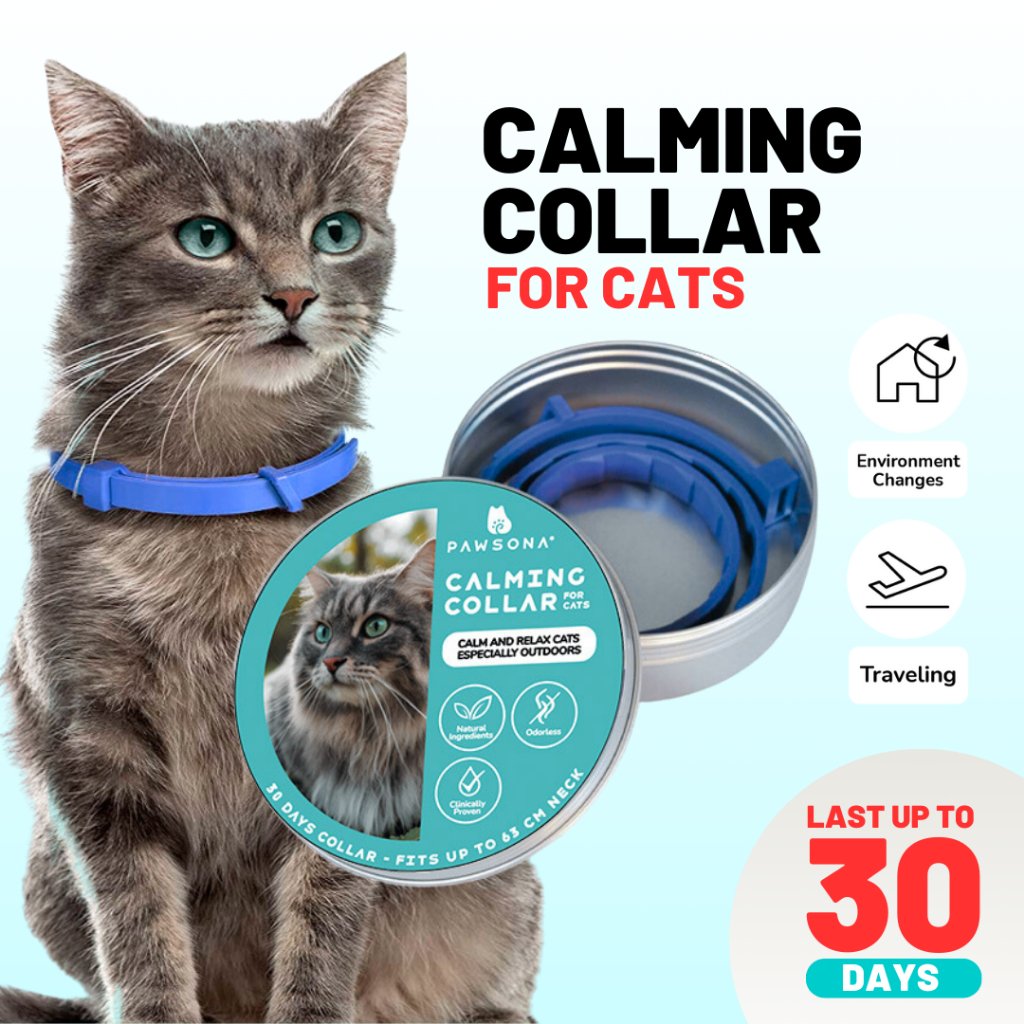 mbbiplob19's tweet photo. https://t.co/RZ8Z4mAAEO
🐱 A calmer environment for your cat starts with PAWSONA® Zenkit. Cat calming diffuser, spray & calming collar options for stressed or anxious cats. 🐾❤️
#PAWSONA #CatCalming #CatPheromone #CatCare #KucingStress #PetMalaysia #ShopeeMY https://t.co/K23ercuhF6