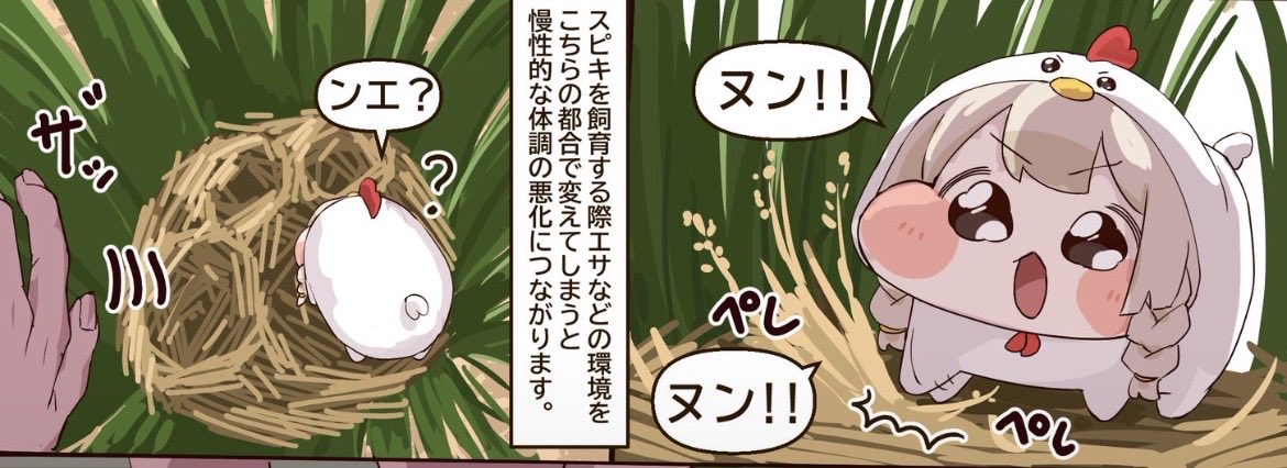 Rain_bow_8024's tweet photo. @No7085063 巣の形似てるから食べ物を探しに行った子ってこの子かな…飼育するなら全部まとめて飼育してあげてね🥲 https://t.co/l0puDovwPd