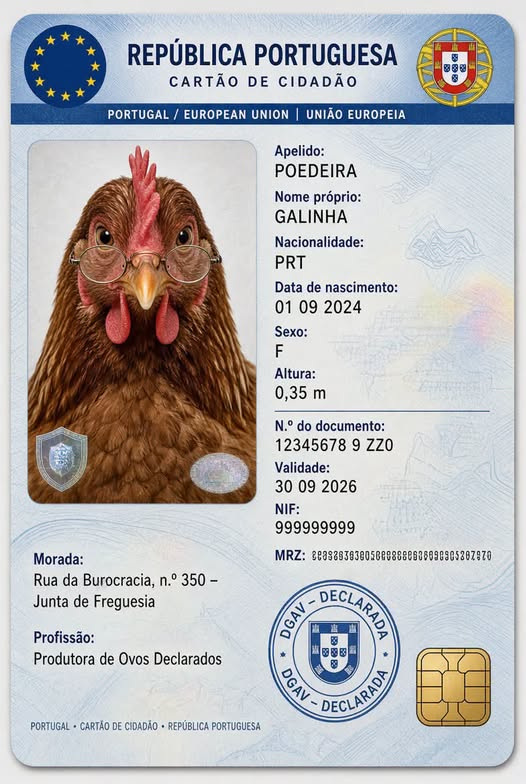 evoluicomigo's tweet photo. A galinha poedeira - Representante da Burocracia!

Daqui a nada, antes de pôr um ovo, ainda tem de preencher o Modelo 3 e pedir autorização à Junta de Freguesia😅 https://t.co/Zu78TgpMeT