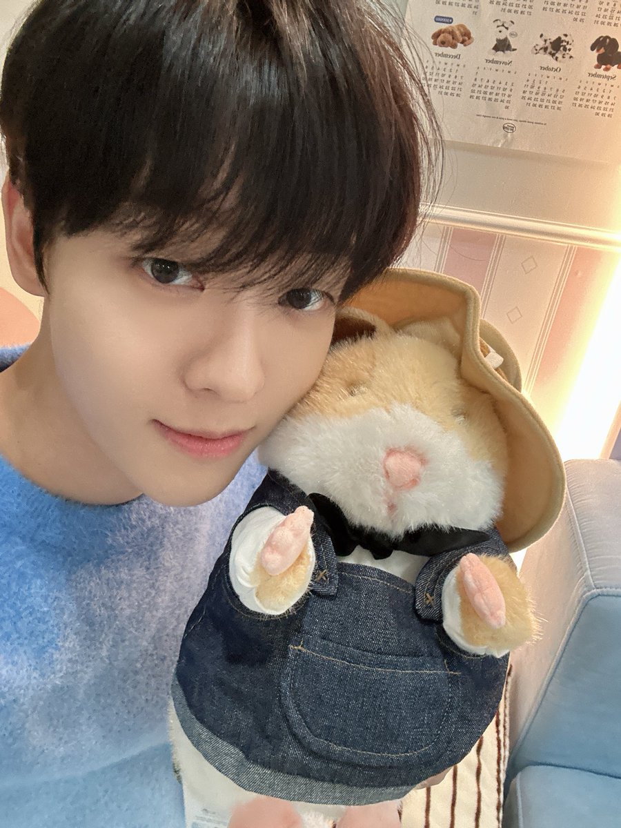wittxmong's tweet photo. 햄스터가 둘이네••• https://t.co/B0RkOz5Drv