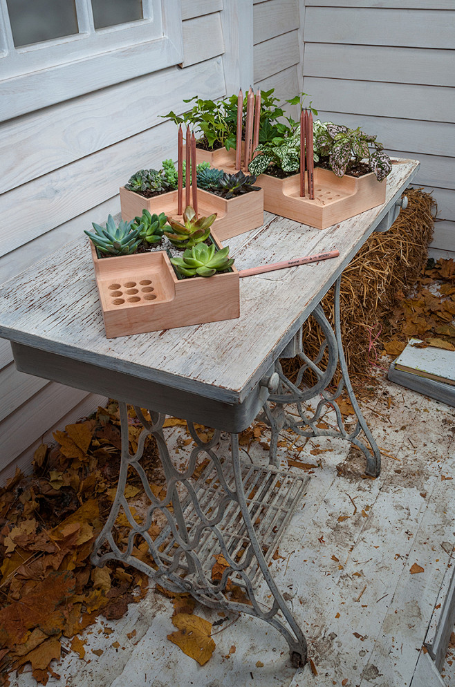 SylvainG7's tweet photo. Turn old glass jars into stylish pen holders + small plant pots—zero waste, all creativity! ， https://t.co/8ag1rVvVIW
