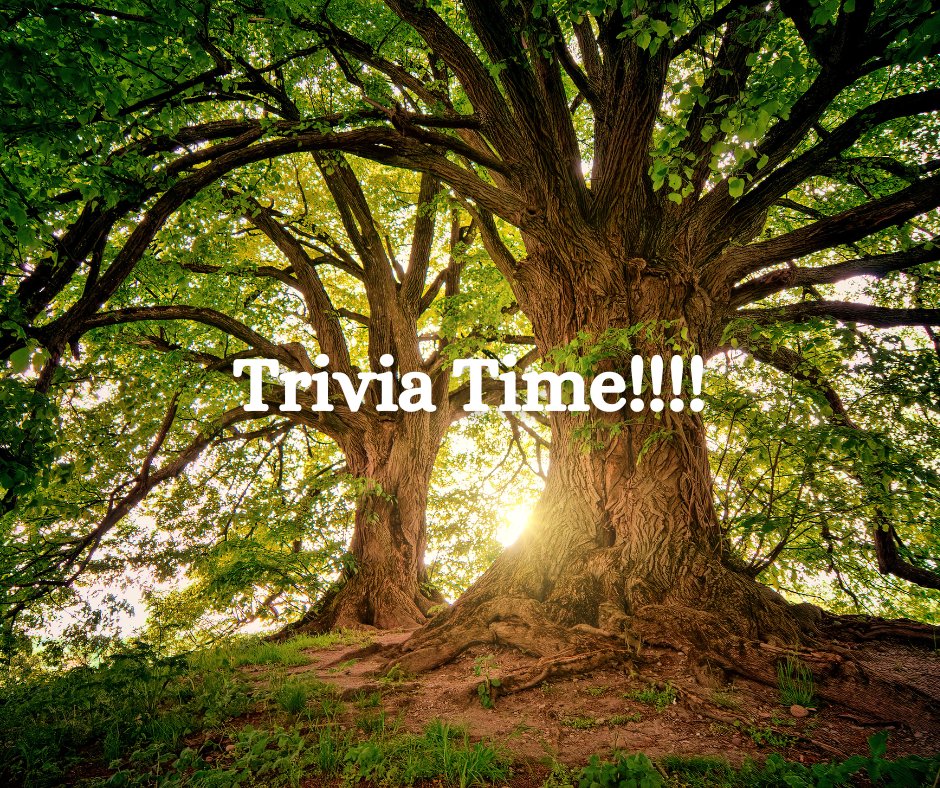 Healthinsurane4's tweet photo. Today’s Trivia Question: In SpongeBob SquarePants, what animal is Squidward? The first 20 to answer on our business pages will be entered in the weekly drawing for a $25 gift card. Make sure to follow our Twitter page to be eligible! #HI4E #trivia https://t.co/OoQfuWCpIG