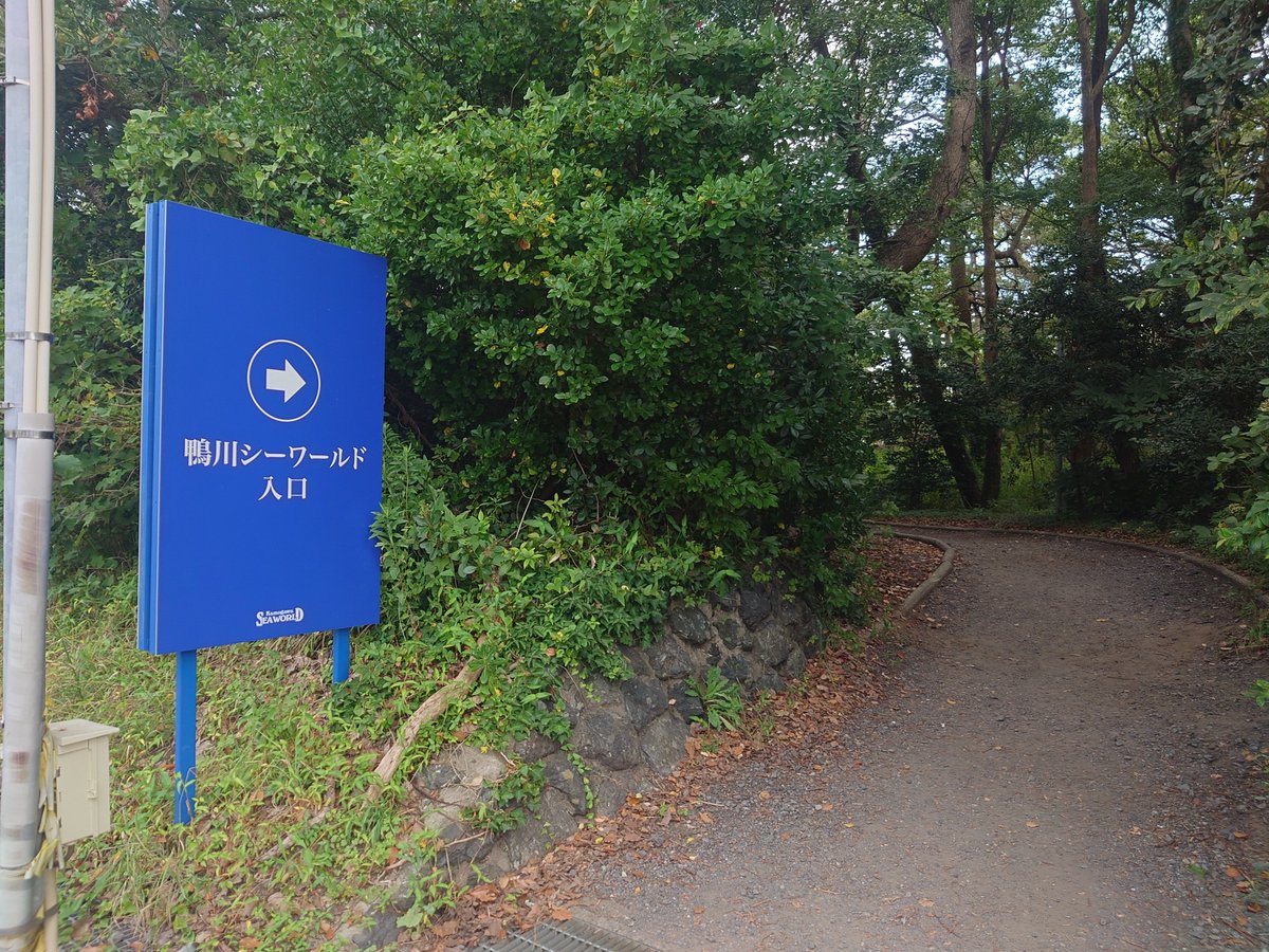 kuro_entp's tweet photo. ISTPと鴨シーデートしてきた笑 https://t.co/6Fu7Bpjguy