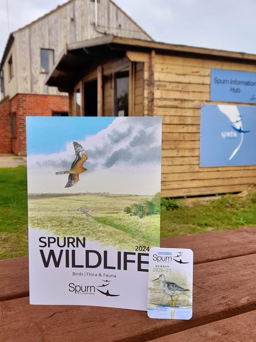 spurnbirdobs's tweet photo. Spurn Wildlife 2024 reports and Friends of Spurn membership 2026-27 cards have arrived!

Available for member collection from the Info Hub from 12 to 4pm this weekend.🐦 https://t.co/INa7hzsh1F