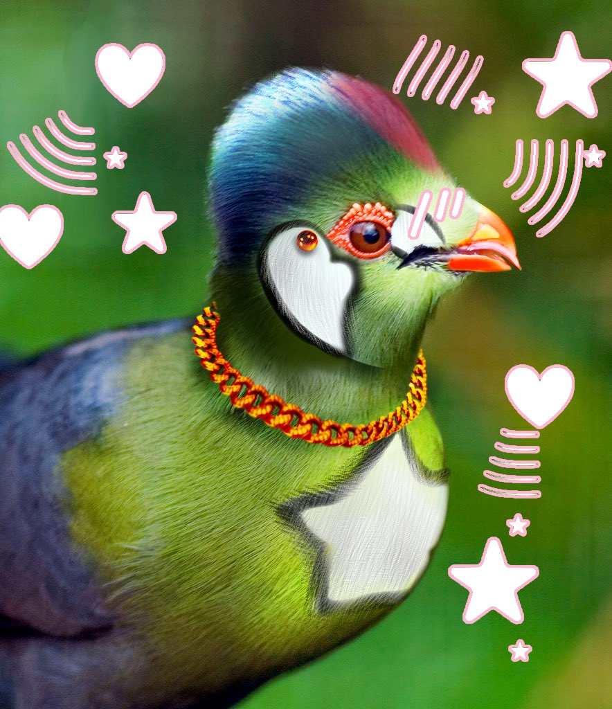 Spamton1956's tweet photo. I also got bored last night at like 3am and did this and I just forgot I did until I woke up…. I found a turaco image on google I just edited the hell out of it to look like mick it’s ass but I had fun making it 

I do enjoy Ibis paints retro filter how could you tell? https://t.co/lI59vESsd9