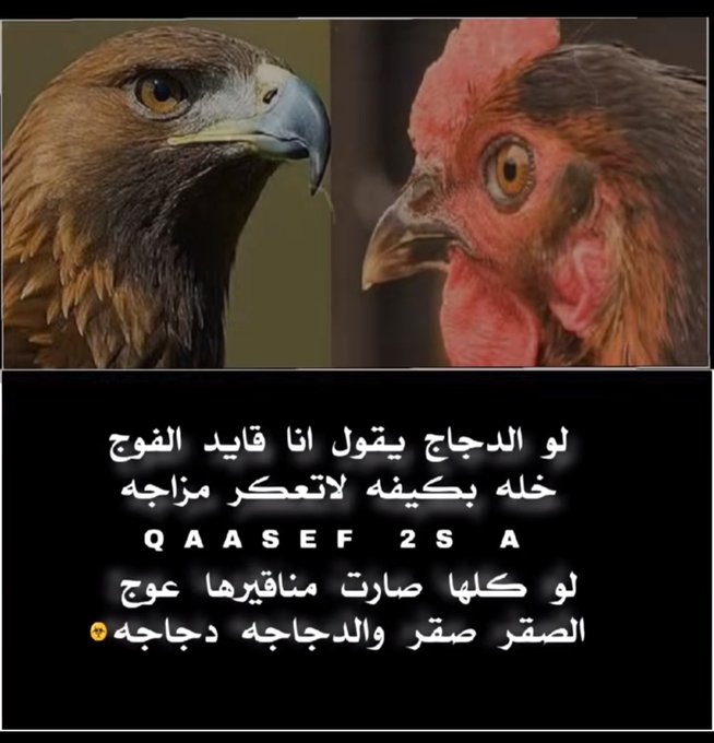 MBMCOW's tweet photo. https://t.co/EdhNKqr55f