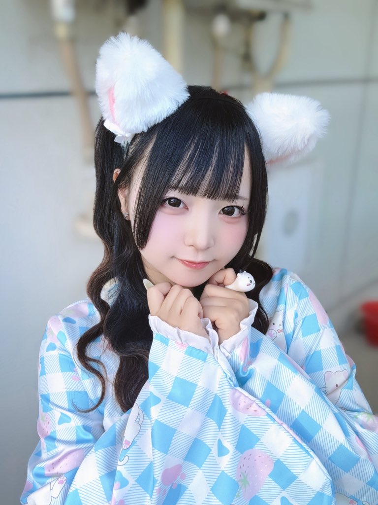 maid_marika's tweet photo. ニャン生は一度きり ᯠ_   ̫ _ᯄ❤︎ https://t.co/ZRQfBBhVca