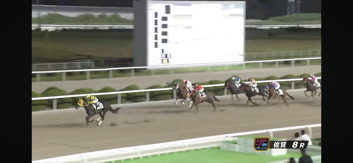 lagioconda1121's tweet photo. カルディアレーシング所属カンカールぎ勝ちました。6連勝です(^^)
細江純子さんにはあんまりいい評価はいただけませんでしたが笑、今日は今までで1番歩様が力強かったです。
まあ初めて見る人はエッ⁈ってなるかと思いますが、前はもっと酷かったんで。
だいぶしっかりしてきましたね。
カルディアレーシングの会員様向け特典馬で販売して、すぐ負けたら嫌だなと思ってましたが6連勝。
南関移籍もできますね。
また応援よろしくお願いします。