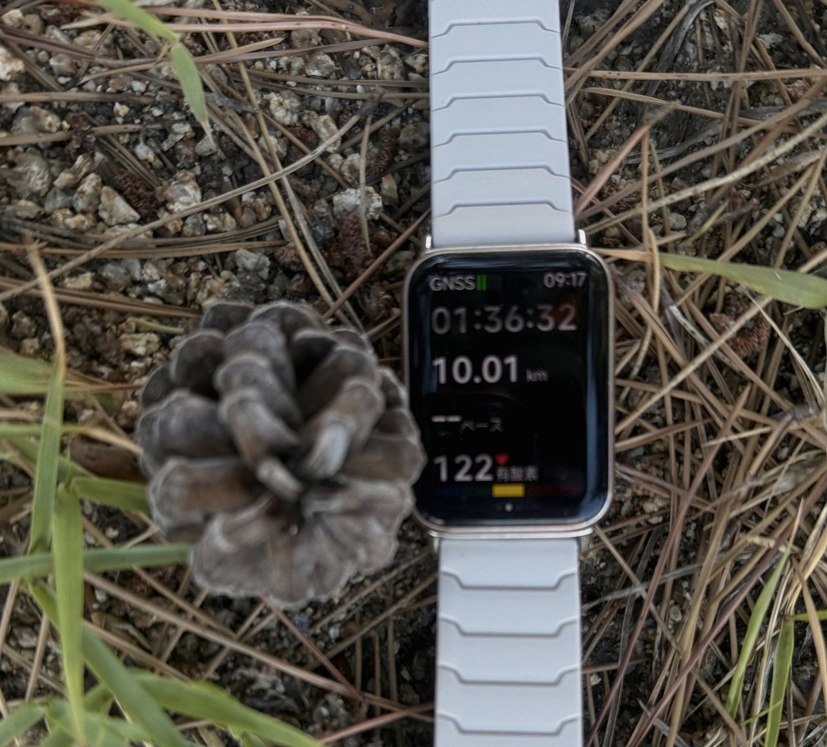 dadwek's tweet photo. 筋肉痛になったり傷ができたりした時はじめて、その部分の普段の使い方や役割に気付くこともあるけど、いつもそういうのに敏感でありたいね。
練習の時、「上手くいく/いかない」だけじゃなく、体をどう使ってるかに敏感になろう。
それで色んな発見があると思う。
どこを使い過ぎてる/使ってないか https://t.co/90onnFegOS