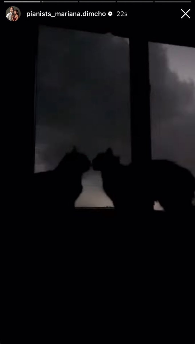 Sslzdmr's tweet photo. Fav piyanistlerimin kedisi de manita bulmuş yakaladımm stden dark romance🫠🥹 https://t.co/Ai31WiilJD