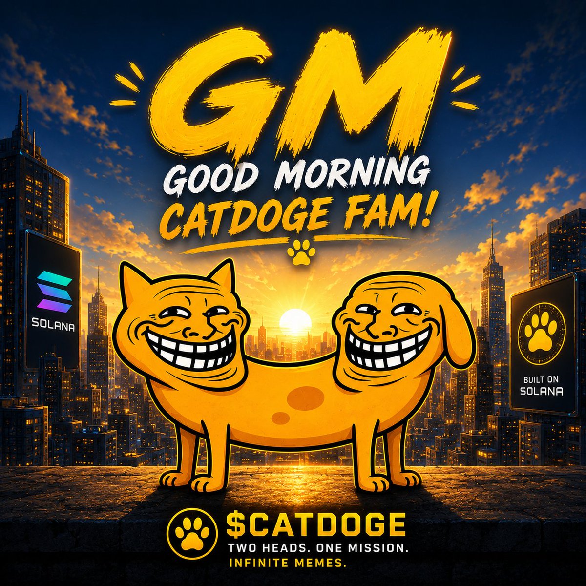 TrollCatDoge's tweet photo. GM $Catdoge family 🐈🐕🧬 https://t.co/7sRHfz1U7j