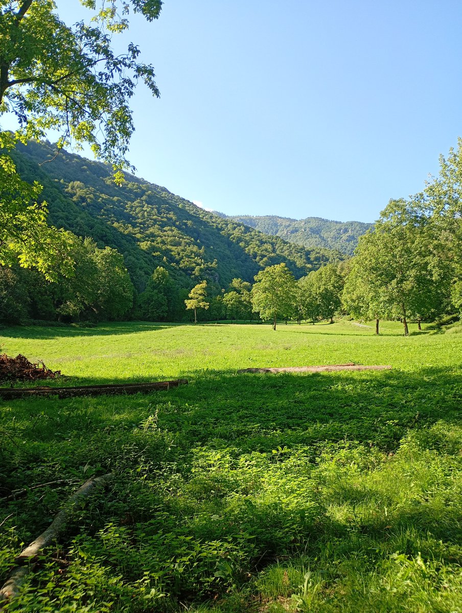 cris_monti's tweet photo. Perdersi per ritrovarsi. https://t.co/aNbwlpmeB4