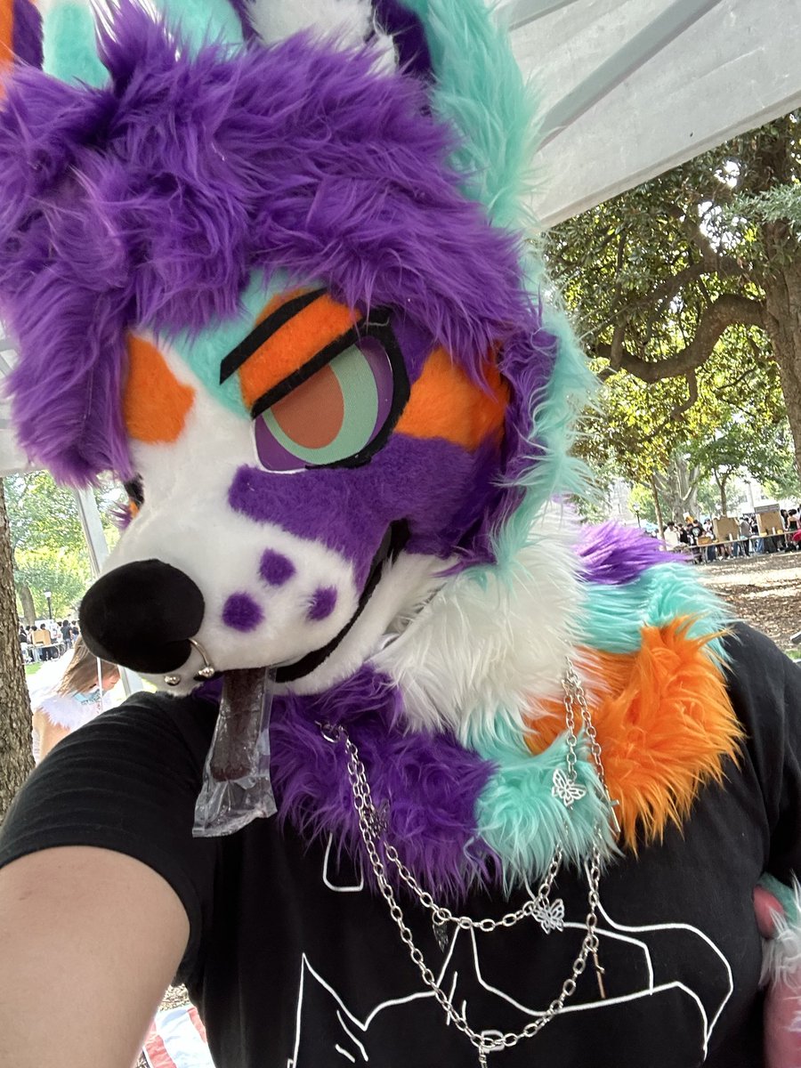 Fennec_guy's tweet photo. Went out fursuiting for my collage furry club
#Furry #Fursuit https://t.co/iUcCbajD6V