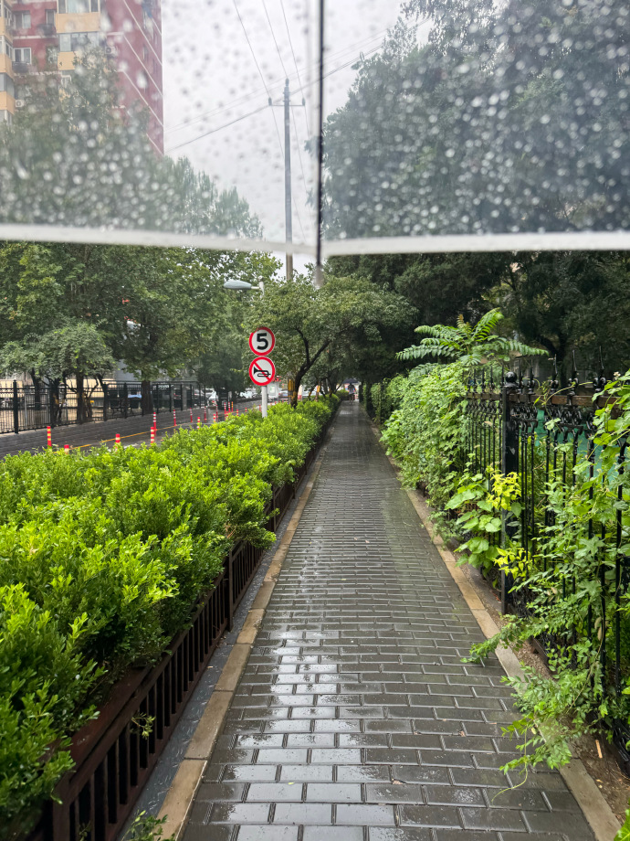RimbeyRobert's tweet photo. Quick snap on a rainy sidewalk—city vibes hit different when the streets clear up a bit. https://t.co/3IBCYFlTu3