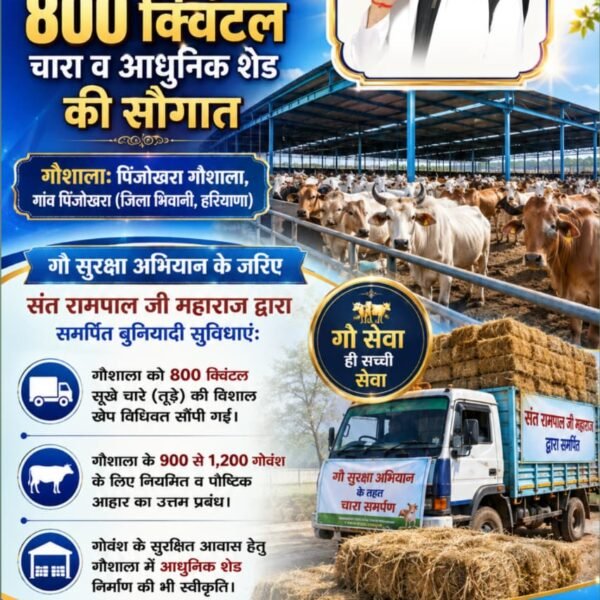 munni_sahu's tweet photo. #गौ_सुरक्षा_अभियान
संत रामपाल जी महाराज ने  गौ सुरक्षा अभियान के तहत पिंजा खोरा गांव में 800 क्विंटल चारा दिया https://t.co/Wo25qzi2Ry