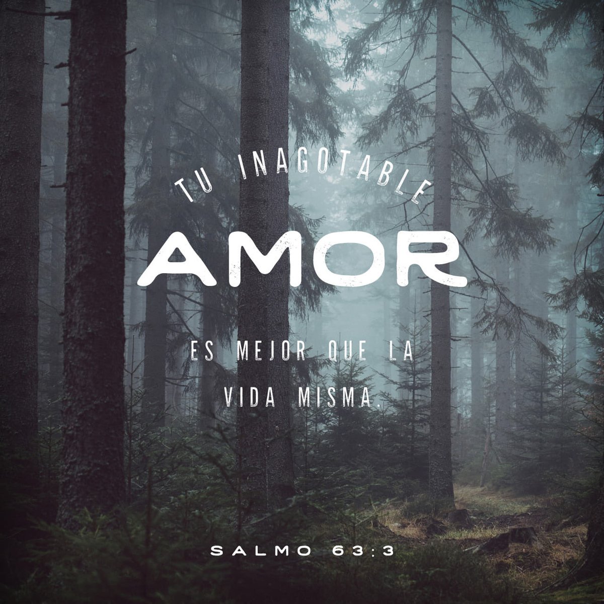 angmforno's tweet photo. #destino #acuerdo #proposito #palabradeDios #oracion #dios #diosesbueno #diosesamor #diosesfiel #cristo #actitudpositiva #devocional #frasesparareflexionar #palabrasdelseñor #mensajescristianos #imagenescristianas #versiculo #jesucristo #cristoteadoro #amordedios2️⃣0️⃣2️⃣6️⃣🇦🇷🇦🇷 https://t.co/hTqP3eEWVT