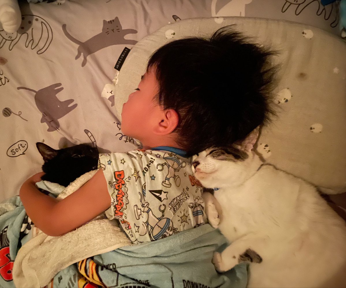 R453374510's tweet photo. 夜勤のためワンオペ頼んでいるパパに
『子達は元気？』とLINEしたところ
送られてきた画像がコチラです https://t.co/oliZiLZ0Ez