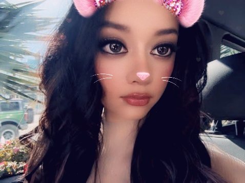 megansclaw's tweet photo. @gyubinsclaw @lilo_the_cat Okkkk https://t.co/Scx0MR8KFQ