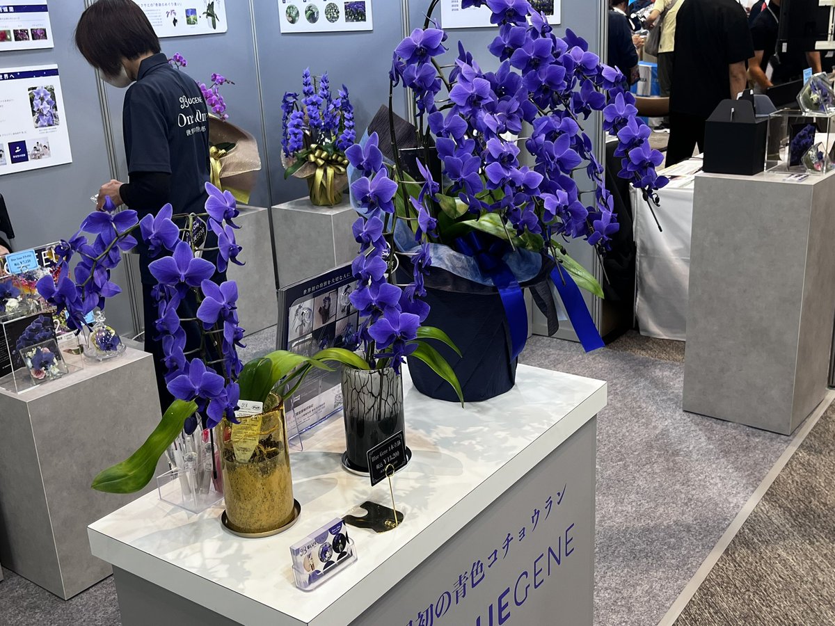 nabe_yoshi's tweet photo. ATCのりそな万博

万博期間中に見た技術やミライを改めて見る機会として楽しめました。
WASSEとか西の果てのフィーチャーライフビレッジでやってた展示物とかの。

今回スタンプ、グルメ&amp;ミャクミャク物販を回避してたからストレス溜めずに行けたかも知れませんが。 https://t.co/NqFEZya3Pq