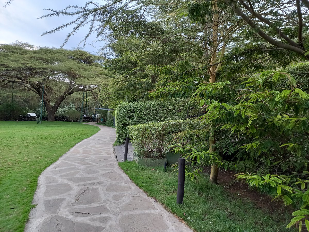 McKogi's tweet photo. Did you know if you left Nai for Vasha you end up in Naivasha?

Niendelee na chenye natumia ama ni stick na maji na maziwa🤣 ?

https://t.co/ilEBpX8KAW 

#Author #EventPlanner #CorporateMC #TransformationSpeaker https://t.co/RjvhFYM4kq