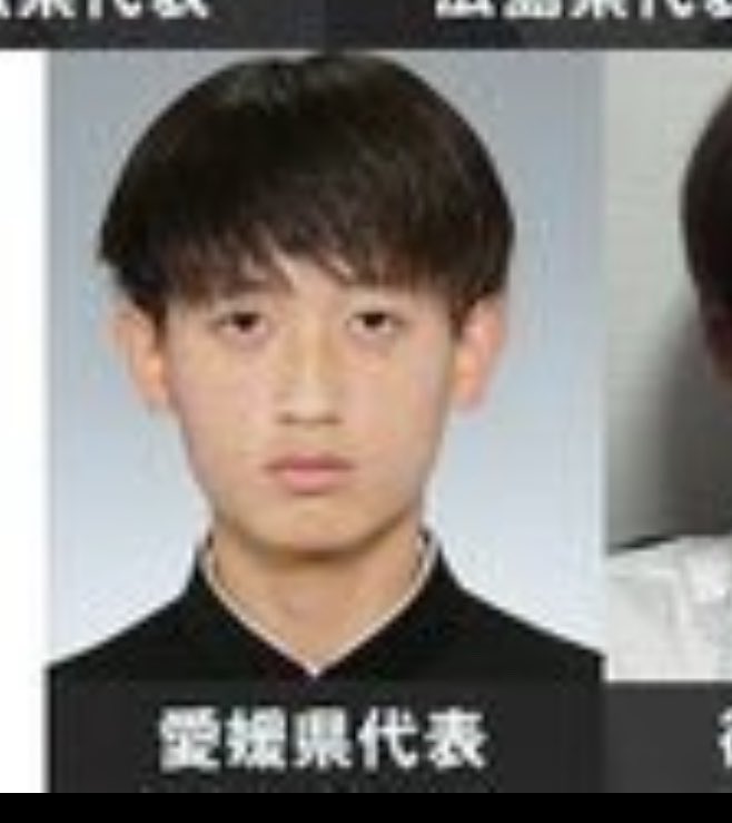 Aaekz1's tweet photo. 俺は、愛媛県を推す https://t.co/7Ml8hBrZYI