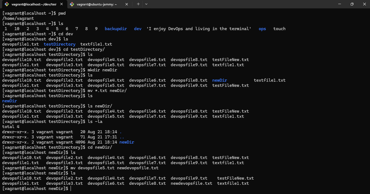 AnthonyNebenmor's tweet photo. Wrapped Linux fundamentals: paths, permissions, navigation, writing to files.

Compared CentOS vs Ubuntu, different prompts and package managers, same core commands underneath.

Now diving into Vim. Time to stop relying on nano.

#BuildInPublic #DevOps #Linux https://t.co/e52mxOtFAn