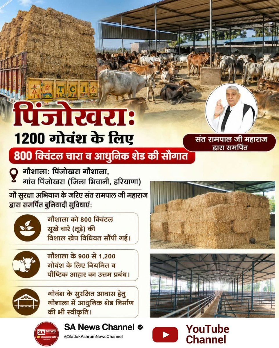 Banwari08626754's tweet photo. #गौ_सुरक्षा_अभियान तहत 800 क्विंटल चारा 
धन्य महान संत रामपाल जी 
Sant Rampal ji Maharaj Youtube https://t.co/E71ZUPoW32