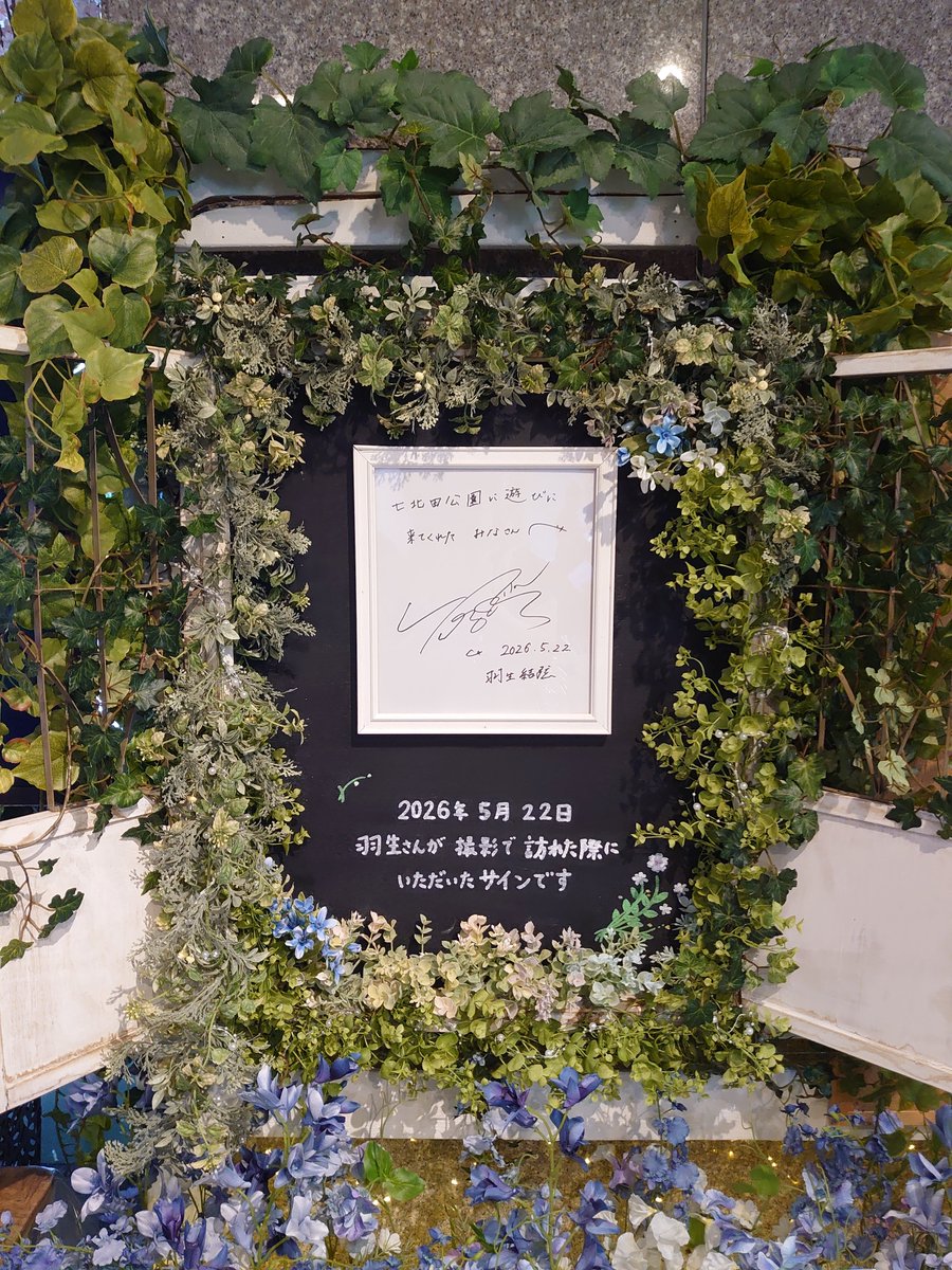 羽生結弦 ゆづ桜 アクスタ 七北田公園 新品未開封 羽生結弦 ゆづ桜