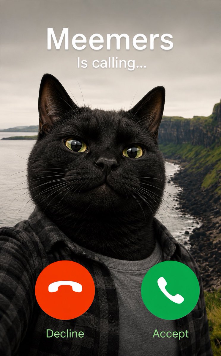 MeemersSolana's tweet photo. @PoorGoat_ Heard Doge Coin getting a CTO…. Cat Take Over https://t.co/HriDx8c4qL