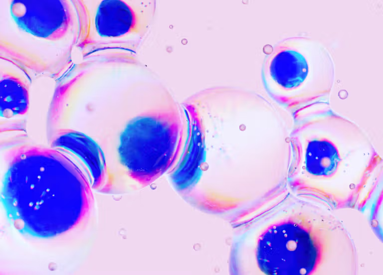 gagasourcelgs's tweet photo. 🧫 A Outer Bio, startup de biotecnologia de Lady Gaga e Michael Polansky, acaba de publicar seu primeiro artigo científico, baseado em um estudo de 4 anos, e o avanço promete transformar completamente o futuro da dermatologia e do cuidado com a pele. 

A empresa desenvolveu uma plataforma tecnológica inovadora capaz de manter pedaços de pele humana real totalmente vivos, funcionais e com suas camadas estruturais preservadas por até um mês fora do corpo.

Até hoje, a indústria da beleza e da medicina enfrentava um grande problema: testar produtos em pratos de laboratório não reflete a complexidade da pele verdadeira, os modelos animais possuem uma biologia muito diferente da nossa e amostras de pele humana doadas duravam no máximo uma semana antes de começarem a se deteriorar. 

Ao criar um suporte impresso em 3D altamente poroso, os pesquisadores garantiram que a pele "respirasse" no ar enquanto recebia nutrientes pela base, recriando com precisão o ambiente do corpo humano.

Com esse tecido preservado por 30 dias, os cientistas conseguiram simular e estudar de perto o inflammaging, aquela inflamação silenciosa e contínua que degrada a barreira cutânea e acelera o envelhecimento ao longo dos anos. 

Mais do que isso, a equipe testou tratamentos focados nas chamadas "células zumbis" (células velhas que param de se dividir, mas continuam liberando toxinas que destroem o colágeno). Ao aplicar substâncias senolíticas ao longo de semanas em pele idosa, eles observaram uma redução marcante na inflamação e na degradação da estrutura da pele.

Para provar a eficiência da plataforma na vida real, os pesquisadores expuseram o tecido a uma dose intensa de radiação solar (UVB). Como esperado, a radiação provocou danos severos, mas a aplicação prévia de um protetor solar comum sobre a superfície da pele de laboratório conseguiu zerar quase todo o estresse celular e as lesões.

Essa conquista não é apenas um marco para a longevidade da pele, mas abre caminho para produtos muito mais eficientes, desenvolvidos sob medida e sem qualquer necessidade de testes em animais.