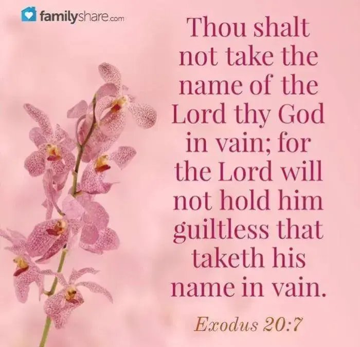 justmarie72's tweet photo. @Pontifex I'm one flesh with the real Lord/Father/Holy Spirit... you're one flesh with buildings made by human hands full of demons&amp; pedophiles we're not the same...no matter how many dresses you wear or how many lies you tell...I am the only me&amp;The Father who's Spirit is the only Father! https://t.co/EqNCdUqWdv