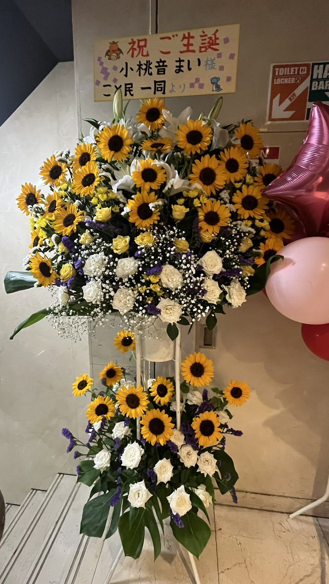 extra_flight's tweet photo. 小桃音まい生誕祭
お疲れ様でした。
今年のスタンド花は、ぽこあポケモンをテーマにする旨を伝えたら、札にメタモンが変身したカイリュー＆ラプラスを入れていただきました🌻 https://t.co/q28s4l0fAW