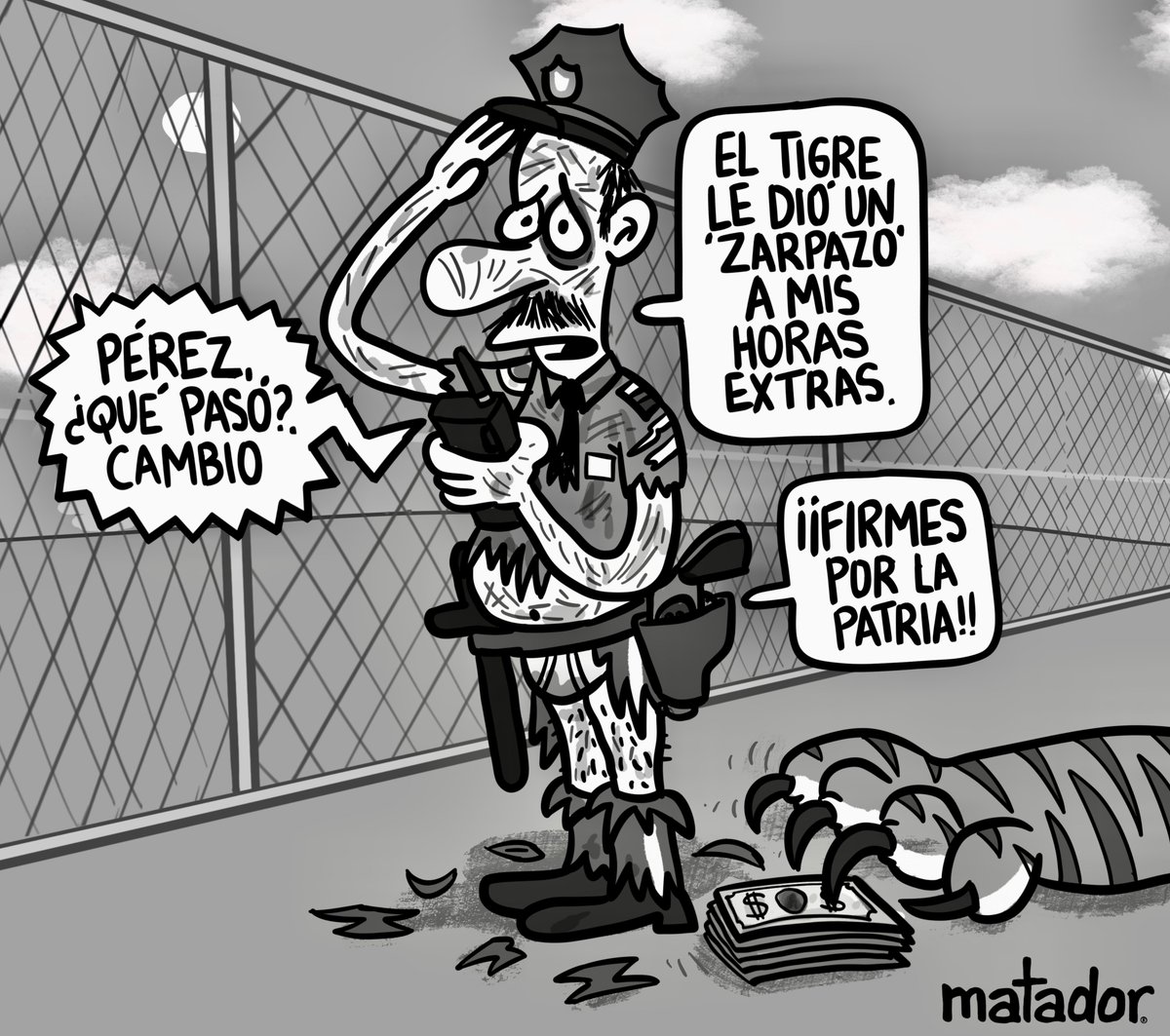 Matador000's tweet photo. El tigre se está metiendo a los conjuntos... https://t.co/7K4nTI401W
