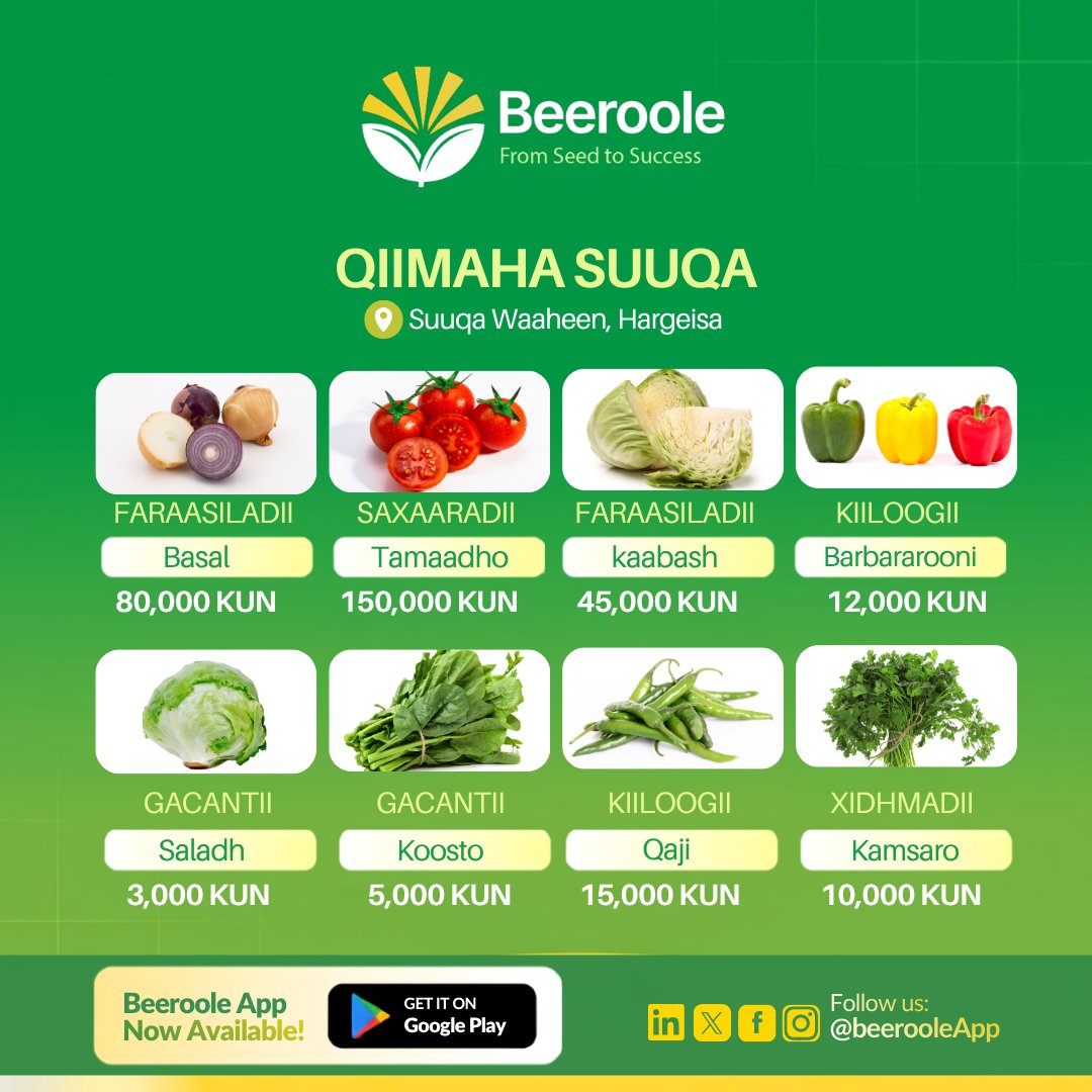 beerooleApp's tweet photo. Have you checked today’s crop prices in the Hargeisa market?

The BEEROOLE app helps you stay updated with the daily prices of vegetables at Waheen Market.

Download BEEROOLE from Google Play and easily find out how much vegetables are selling for in the market each day. https://t.co/EOMdKspS7J