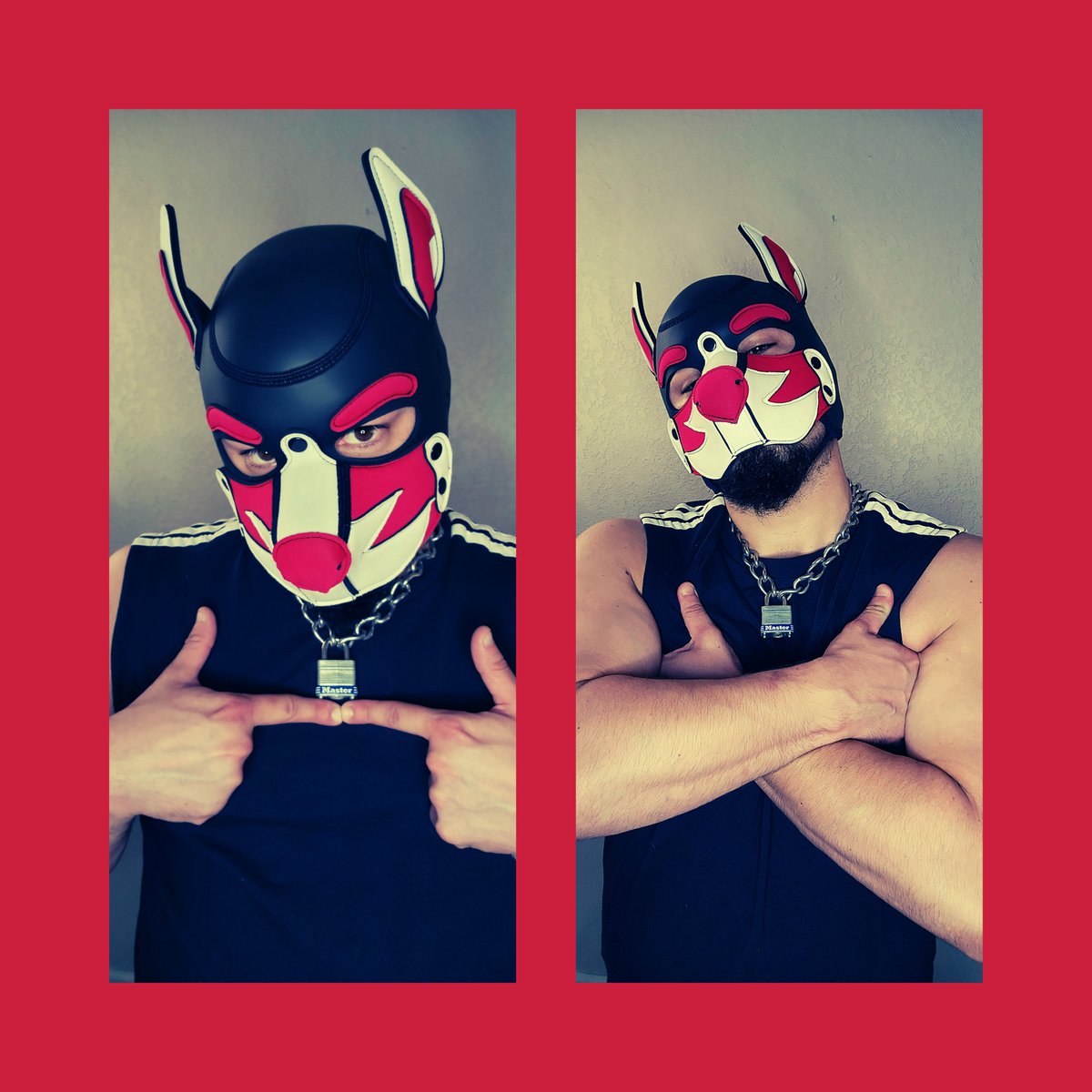 TrueWhorror's tweet photo. Hiiii 🐶

I know I don't post here much, but I've thought about changing that 🐶🤗

#PupPlay #PupPlayCommunity #HumanPup #GayPup #PupHood #GayMen #GayBoy @MrSLeather https://t.co/fEo7zSRe8h