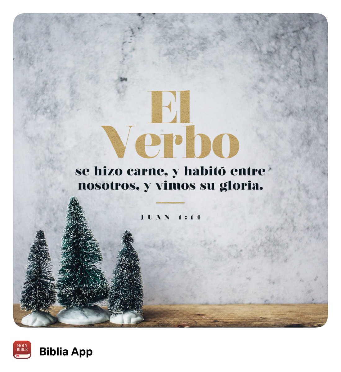 turistanac's tweet photo. “Aquel que es la Palabra habitó entre nosotros y fue como uno de nosotros. Vimos el poder que le pertenece como Hijo único de Dios, pues nos ha mostrado todo el amor y toda la verdad.”
Juan 1:14 TLA https://t.co/h0jqo6H49V
