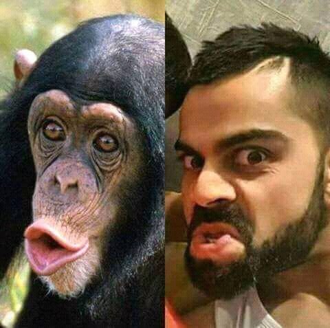 XMAYANK45's tweet photo. Same same same but different https://t.co/MQ1L77epXC