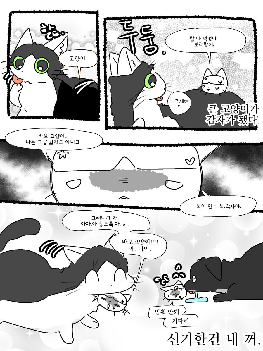malleeng_'s tweet photo. 엉아들이 감자가 되면 어떡할래 https://t.co/MDEG5Rl3M4